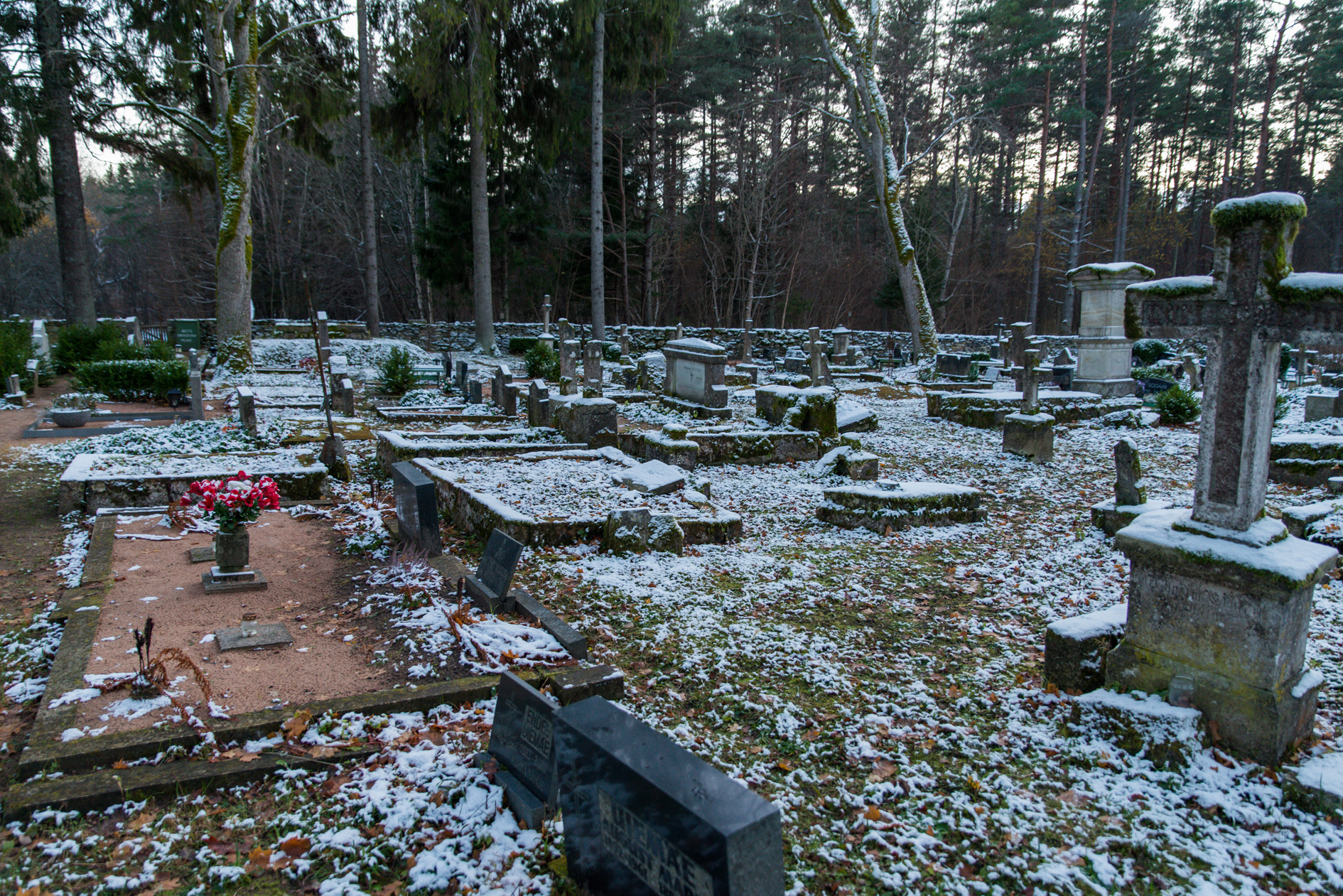20161104-250-Kaarma-kalmistu.jpg - 4.11.2016. Kaarma kalmistu